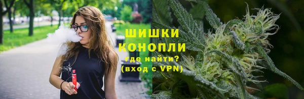 мет Новозыбков