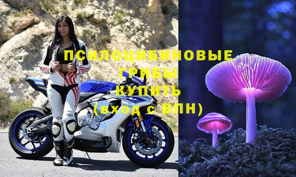 герыч Алзамай