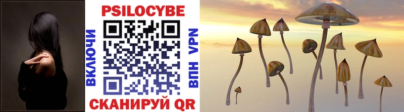 Псилоцибиновые грибы Psilocybine cubensis  Опочка 